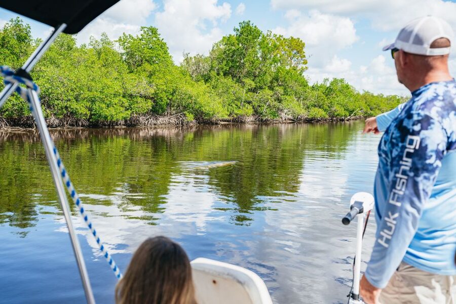 Naples, FL: Manatee Sightseeing and Wildlife Boat Tour - Photo Opportunities: Using the Included Polarized Lenses