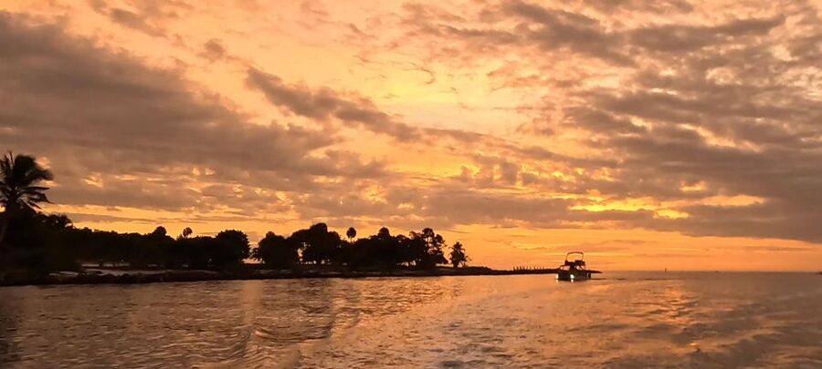 Naples: Sunset Boat Cruise with Charcuterie and Wine - Naples Sunset Cruise, But With Room to Breathe (Not a Big-Boat Line)