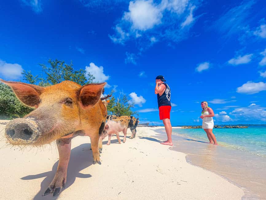 Nassau: Sun Cay and Swimming Pigs Boat Trip with Lunch - From Nassau to Sun Cay: the boat ride that sets the tone