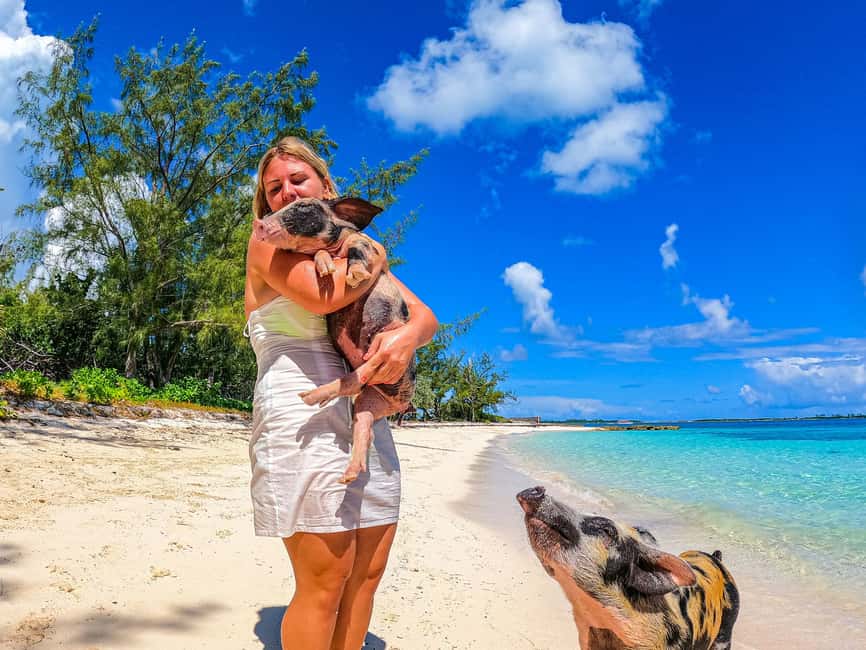Nassau: Sun Cay and Swimming Pigs Boat Trip with Lunch - Lunch on Island Time: what’s included and how to make it smooth