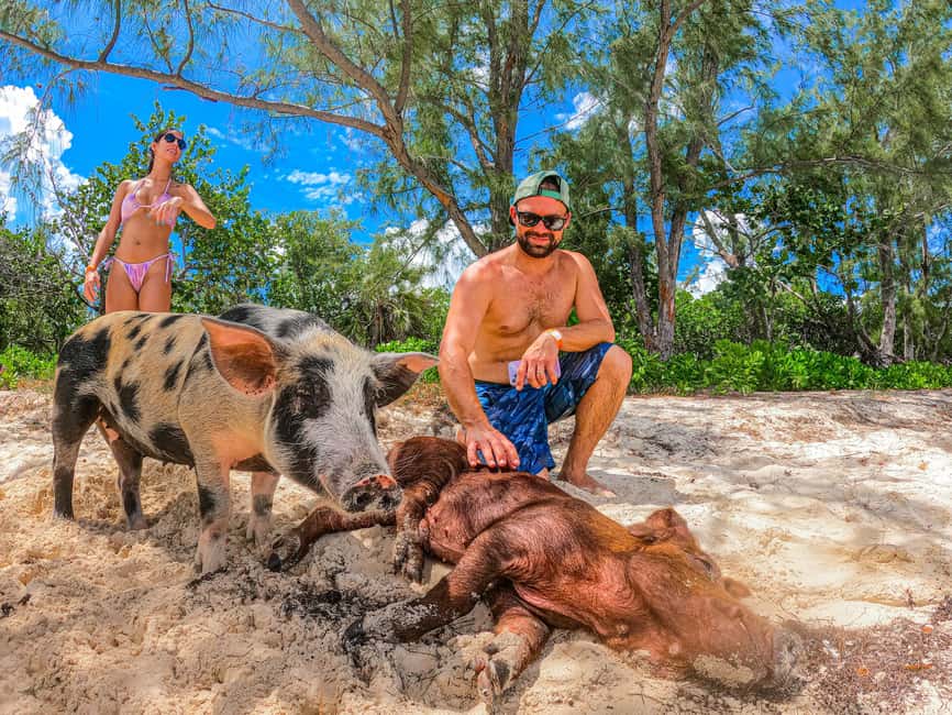 Nassau: Sun Cay and Swimming Pigs Boat Trip with Lunch - Price and value: is $179 a good deal for this Nassau day?