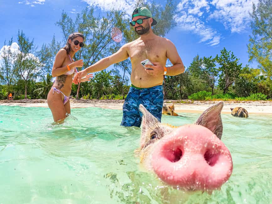 Nassau: Sun Cay and Swimming Pigs Boat Trip with Lunch - Who should book, and who should skip it