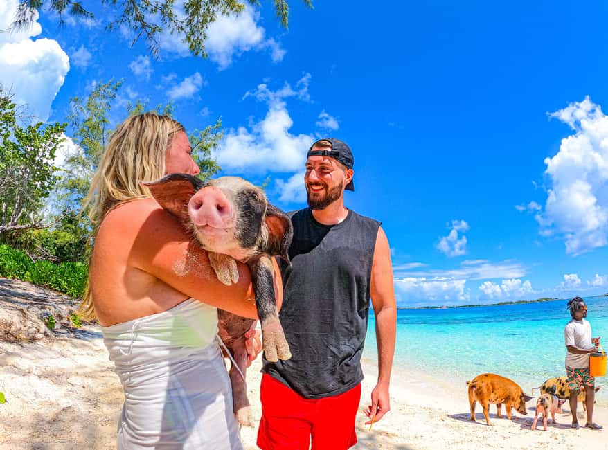 Nassau: Sun Cay and Swimming Pigs Boat Trip with Lunch - Should you book Sun Cay and Swimming Pigs from Nassau?