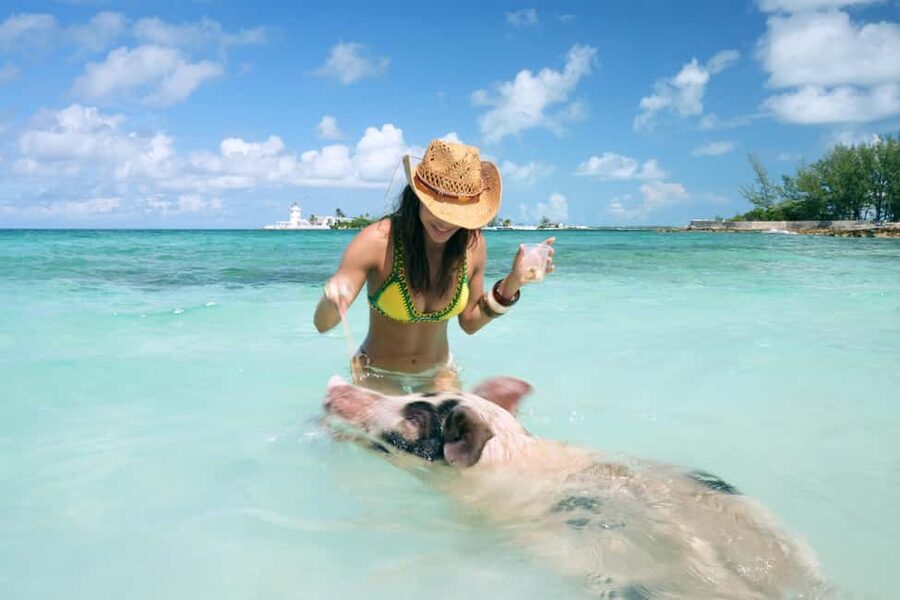 Nassau: Swimming Pigs, Snorkeling, Lunch, & Beach Boat Tour - Quick Reality Check: a short day with a lot of payoff