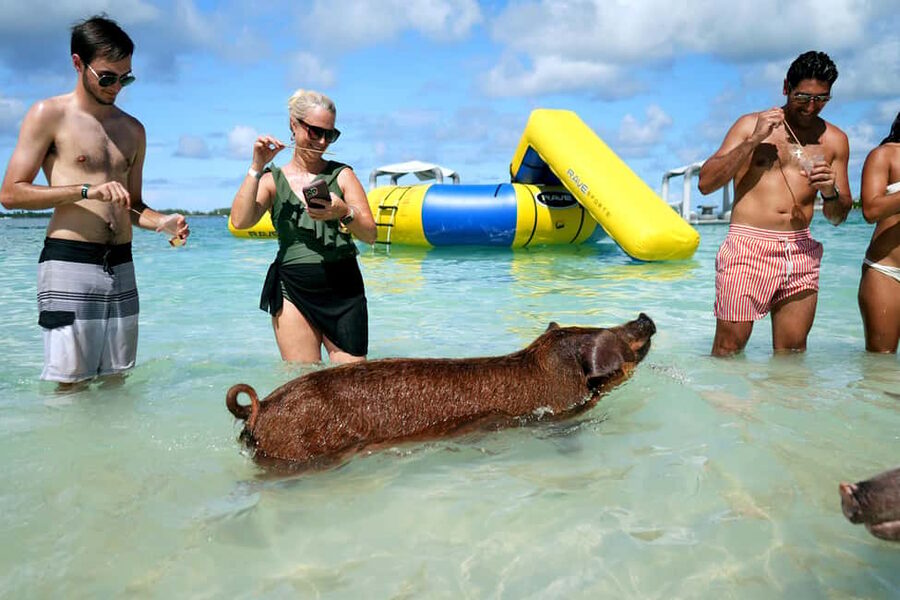 Nassau: Swimming Pigs, Snorkeling, Lunch, & Beach Boat Tour - Nassau Harbor to Atlantis and Paradise Island: the fast scenic intro