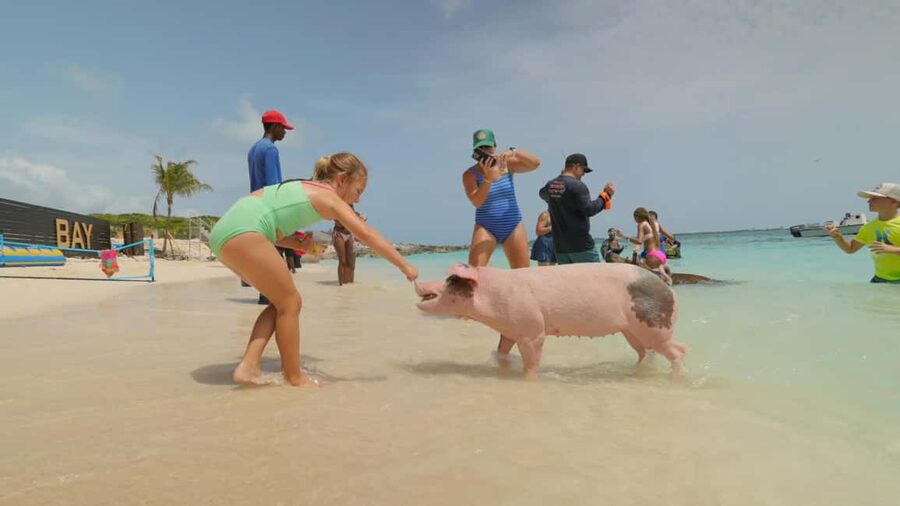 Nassau: Swimming Pigs, Snorkeling, Lunch, & Beach Boat Tour - The crew energy: why the day feels easy