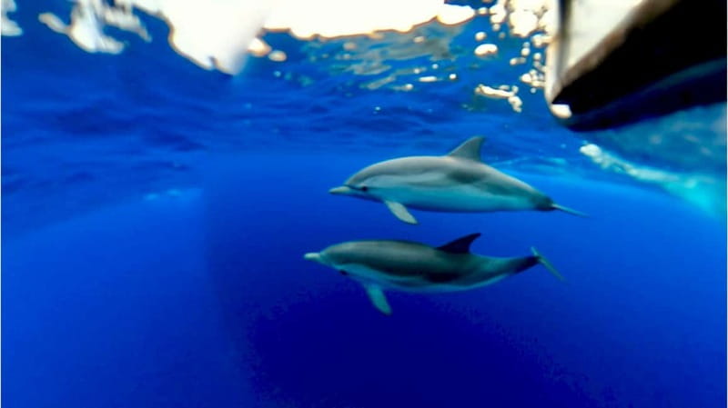 Naxos: Taormina Boat Tour with Snorkeling and Prosecco - Small practical tips that make your day smoother