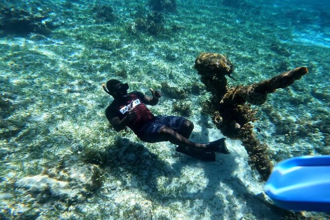 Negril Glass Bottom Boat Tour Snorkeling and Booby Cay - Key Highlights to Know Before You Go