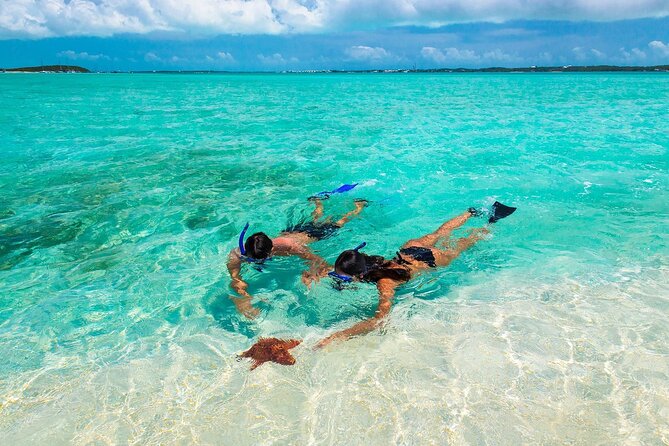 Negril Seven Miles Beach, Snorkeling, Boat Ride, Ricks Cafe Combo - Key highlights: what I’d plan my day around