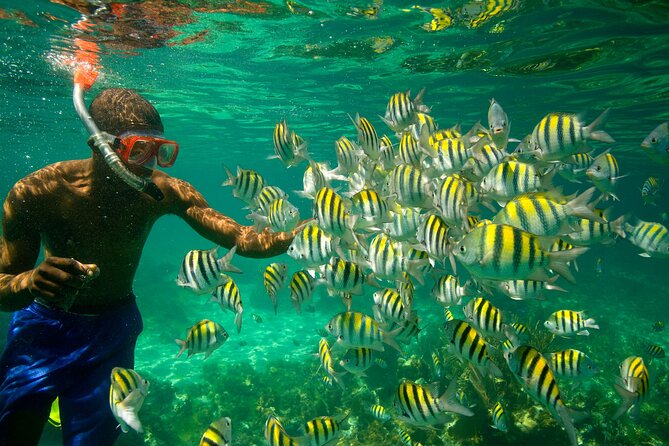 Negril Seven Miles Beach, Snorkeling, Boat Ride, Ricks Cafe Combo - Why guides like Travis and Lisa make this combo work