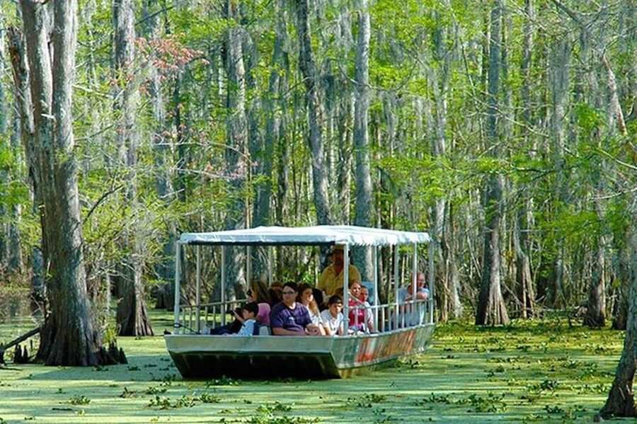 New Orleans: Honey Island Swamp and Bayou Boat Tour - Honey Island Swamp Wetlands: Why a Protected Reserve Matters