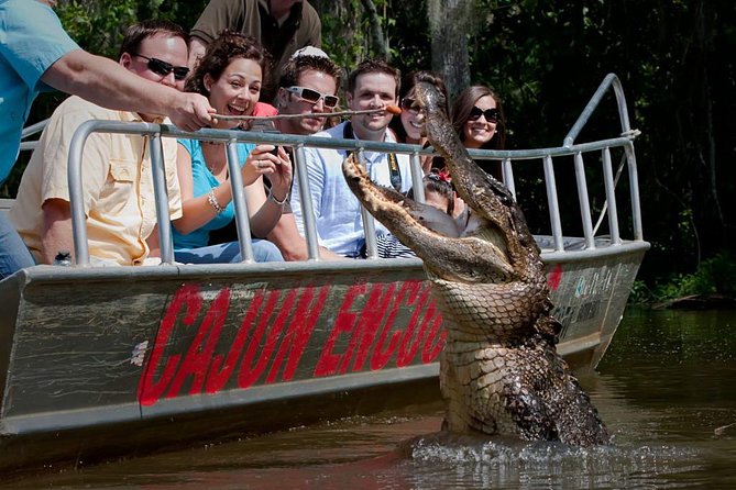 New Orleans Swamp and Bayou Boat Tour with Transportation - Key Highlights You’ll Care About