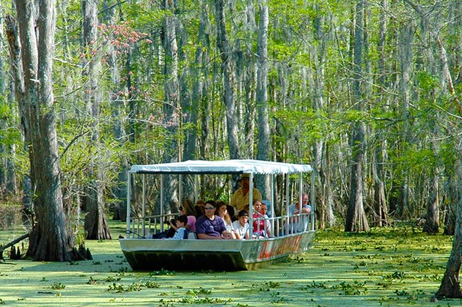 New Orleans Swamp and Bayou Boat Tour with Transportation - Timing and Weather: When You’ll See More (and When You’ll See Less)