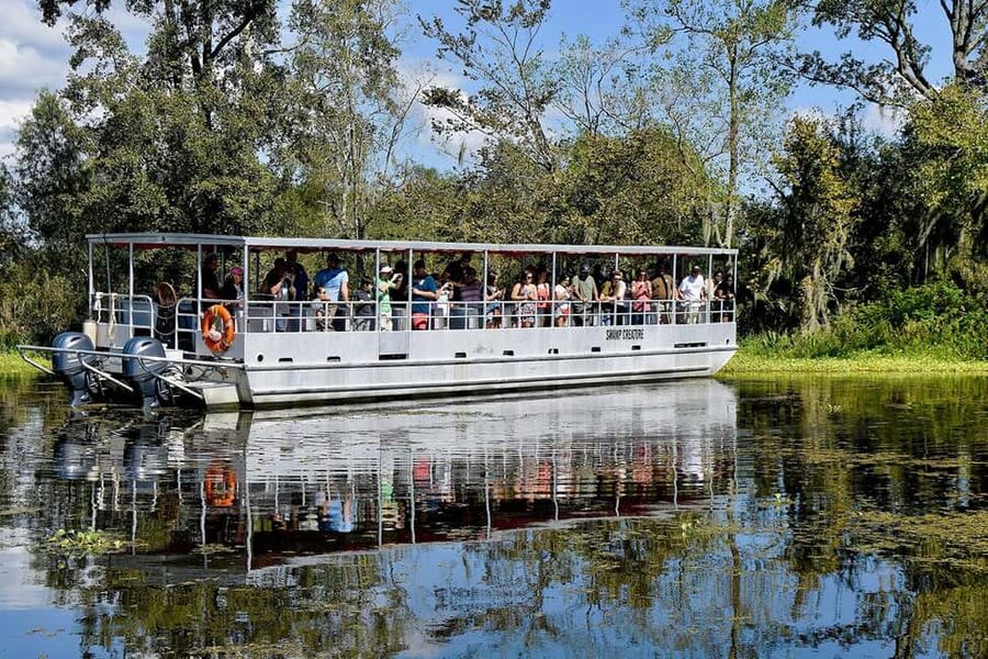 New Orleans: Swamp & Bayou Boat Tour with Transportation - The pontoon cruise: wildlife nesting grounds and what you can spot