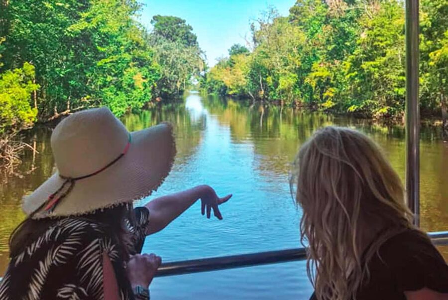 New Orleans: Swamp & Bayou Boat Tour with Transportation - The guide experience: history, humor, and why it matters on a swamp day