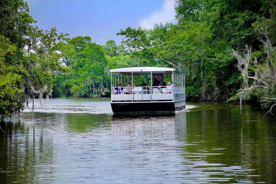 New Orleans: Swamp & Bayou Boat Tour with Transportation - Wetlands, seafood stories, and the Cajun side of the ride