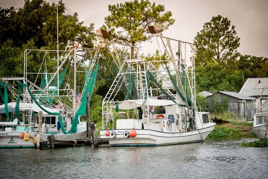 New Orleans: Swamp & Bayou Boat Tour with Transportation - Timing, lines, and why your schedule can feel a little stretched