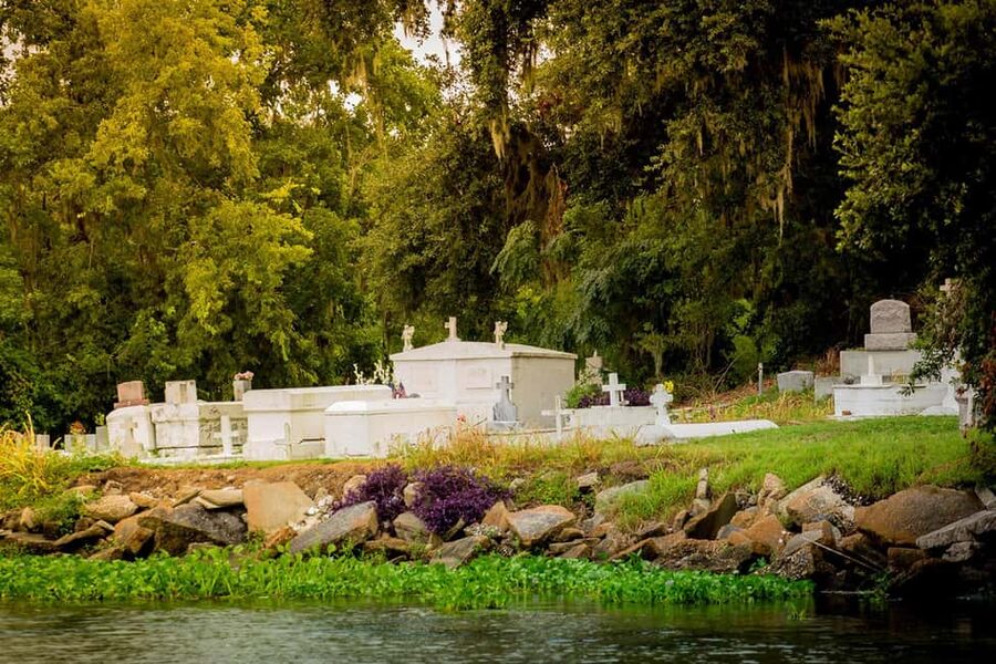 New Orleans: Swamp & Bayou Boat Tour with Transportation - Price and value: what $65 really buys you