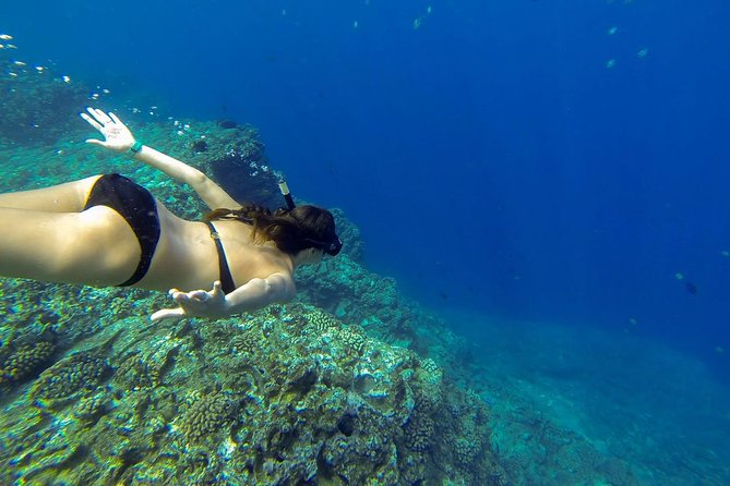 Ni'ihau and Na Pali Coast Snorkel Boat Tour - The crew’s job: keeping you comfortable when the ocean changes the plan