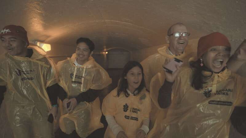 Niagara Falls: Day & Night Tour with Boat Ride and Dinner - Day and Night Niagara Falls in One 7-Hour Stretch