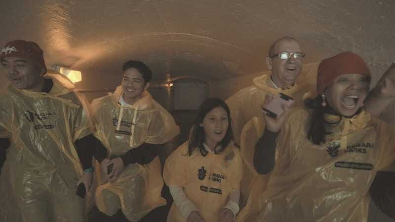 Niagara Falls: Day & Night Tour with Boat Ride and Dinner - Hornblower boat ride: up close, with mist and poncho included