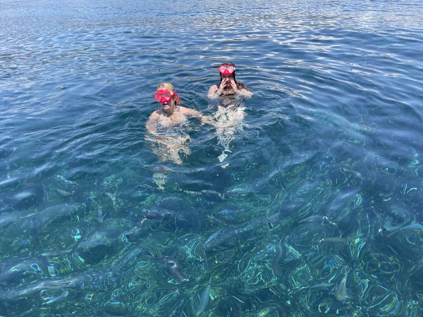 Nice: Monaco & Mala Caves Boat Trip with Snorkeling - Is the $100 price tag good value for this Monaco day?
