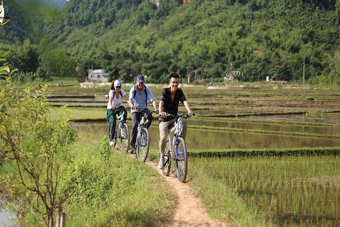 NINH BINH MEMORABLE DAY: Hoa Lu, Mua Cave, boat trip Tam Coc, Trang An optional - Lunch, water, tickets, and the stuff you should plan around