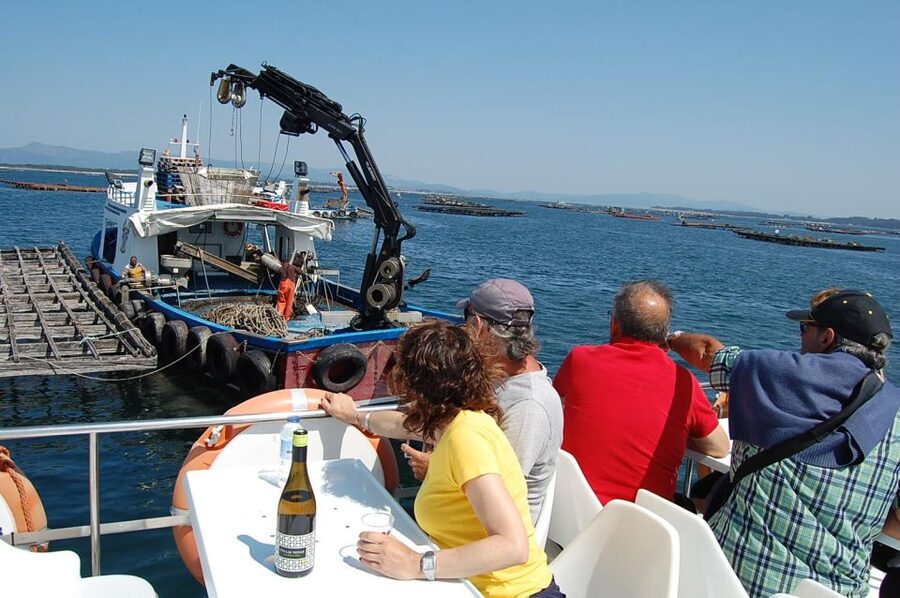 O Grove: Boat Tour at the Arousa estuary with mussel tasting - Glass-bottom viewing: what it adds to a short cruise