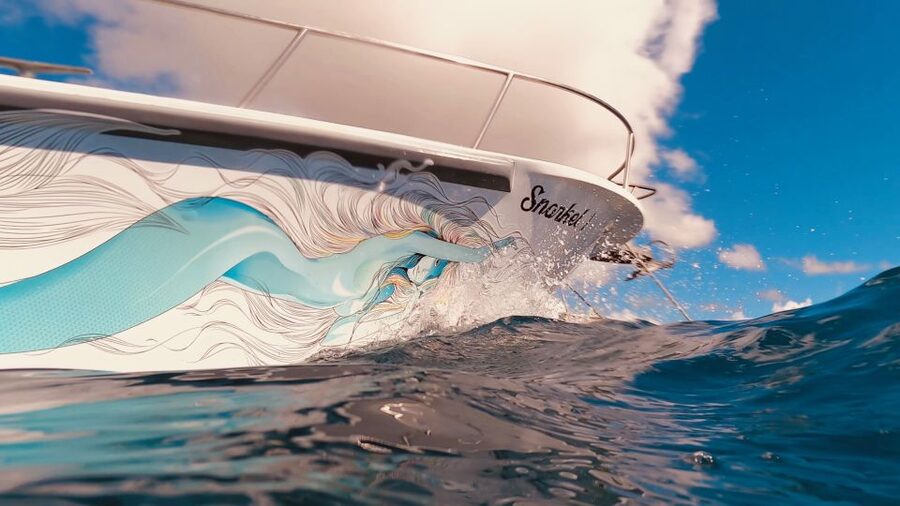 Oahu: Turtle Canyon Snorkeling Boat Tour - Photo package: nice add-on if you want proof