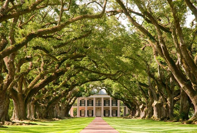 Oak Alley Plantation and Swamp Boat Tour from New Orleans - Key highlights you’ll want to know