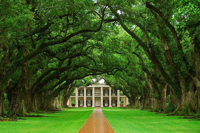 Oak Alley Plantation and Swamp Boat Tour from New Orleans - A day trip that mixes plantation glamour with swamp reality