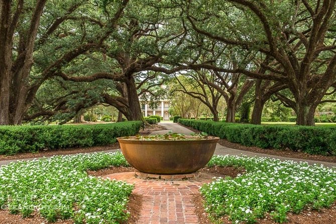 Oak Alley Plantation and Swamp Boat Tour from New Orleans - Barataria Preserve swamp boat tour: the narration is the point