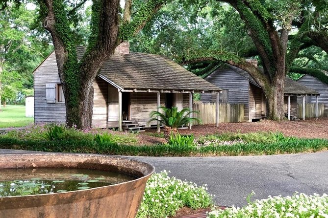 Oak Alley Plantation and Swamp Boat Tour from New Orleans - Transportation comfort, small frustrations, and how to protect your day