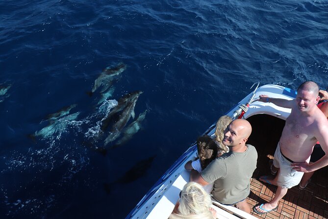 Odyssee 3: The Glass Bottom Boat Tour in Fuerteventura - From Puerto de Morro Jable to the open sea: what this day really feels like