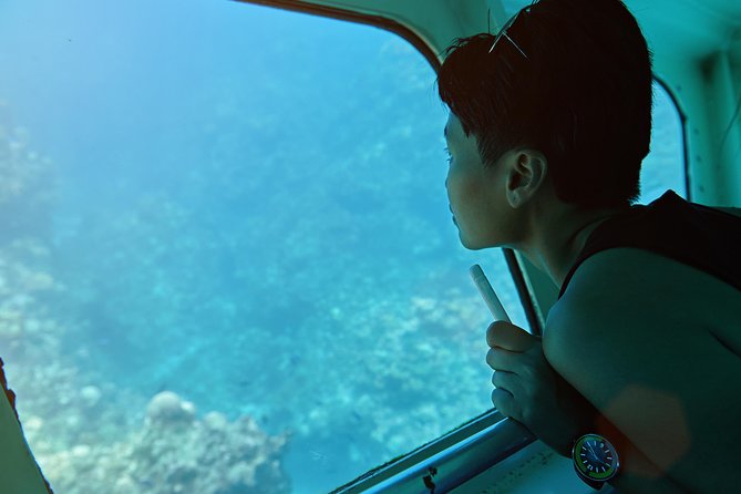 Odyssee 3: The Glass Bottom Boat Tour in Fuerteventura - The glass-bottom viewing area: great for fish, not a long museum stop