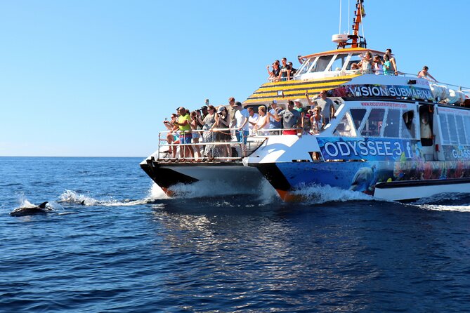 Odyssee 3: The Glass Bottom Boat Tour in Fuerteventura - The big water-activity stop: where the fun actually happens