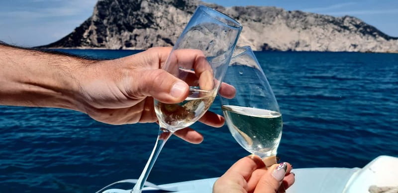Olbia: Boat tour to watch Dolphins and snorkeling - Dolphin Time Around Figarolo: How the Best Chances Work