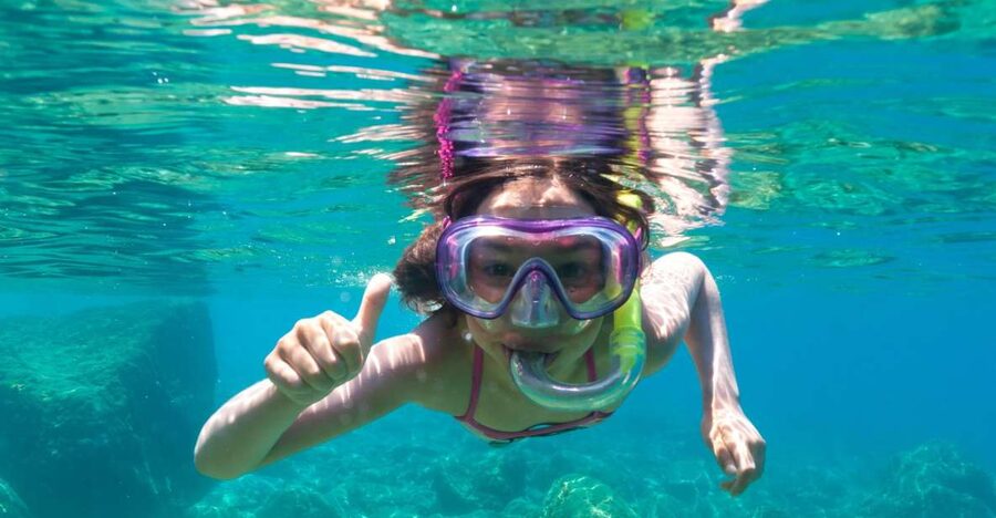 Olbia: Dolphin Watching and Snorkeling Boat Tour - The dolphin-watching strategy: watching without turning it into a chase
