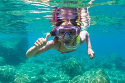 Olbia: Dolphin Watching and Snorkeling Boat Tour - Getting to Molo Bosazza without stress (and why it matters)