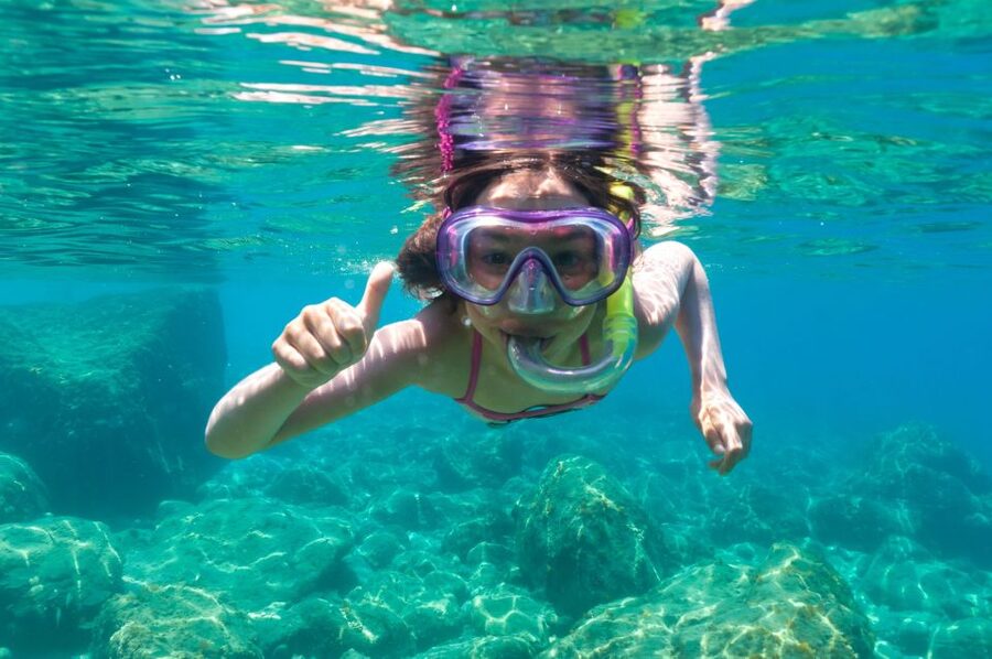 Olbia: Dolphin Watching and Snorkeling Boat Tour - Getting to Molo Bosazza without stress (and why it matters)