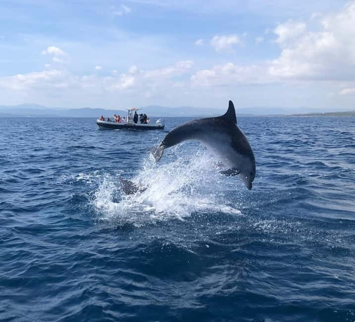 Olbia: Eco-Friendly Dolphin-Watching Boat Trip - The guide team makes the difference: spotting skill plus patient teaching