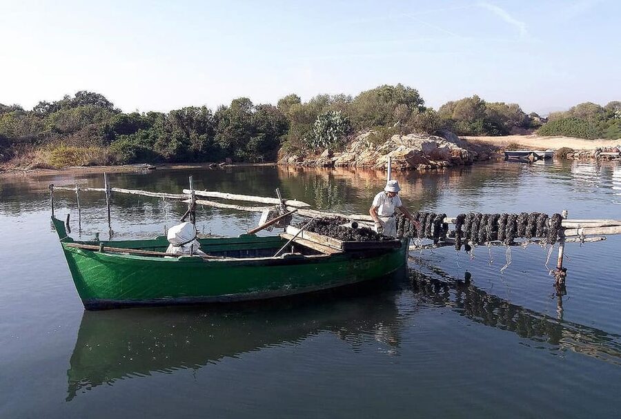 Olbia: Gulf of Olbia boat tour - The Guided Stop: Wine Tasting, Walk, and a Breather