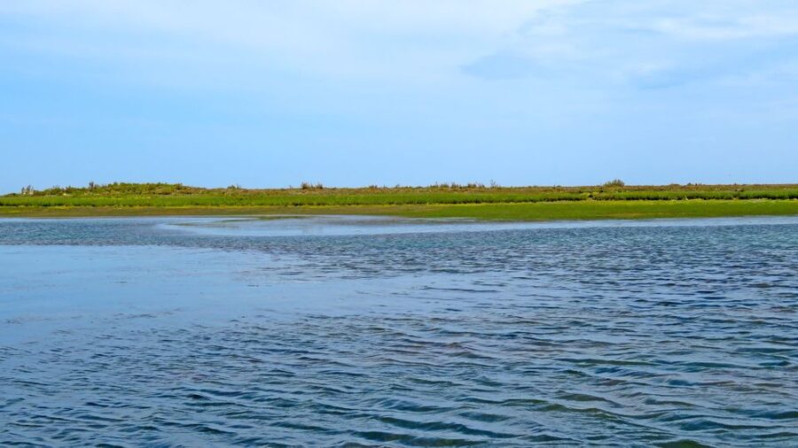 Olhão: 3-Hour Ria Formosa Boat Tour - What to bring and how to plan your comfort