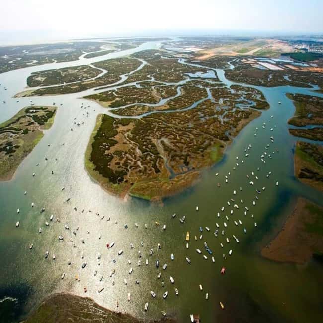 Olhão: Ria Formosa 2 Islands Boat Tour - Should you book the Olhão Ria Formosa 2 Islands Boat Tour?