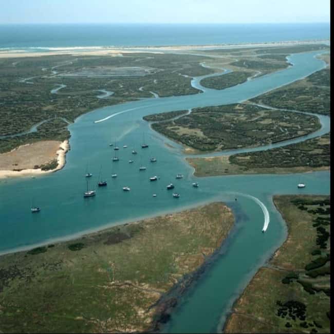 Olhão: Ria Formosa 2 Islands Boat Tour - The guide makes or breaks your wildlife experience