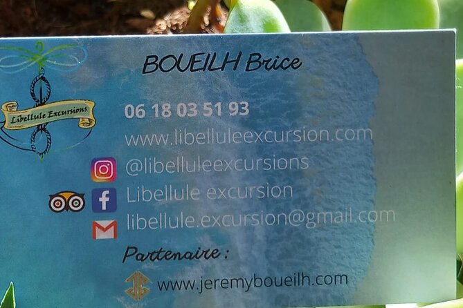 One-day boat trip to the lagoon of Guadeloupe - Who This Tour Suits Best (and Who Should Think Twice)