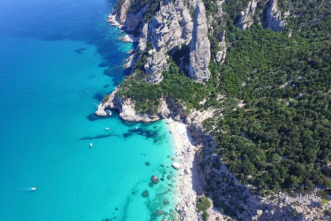 One day guided boat tour along the Baunei coast. - Key things to know before you go