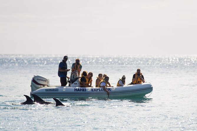 One Hour Cathedral Cove Boat Tour in Hahei - One Hour, 8.5 Miles of Coast: The Big Payoff