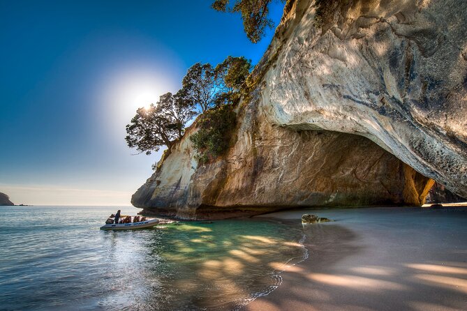 One Hour Cathedral Cove Boat Tour in Hahei - Hahei Explorer Practicalities: Meeting Point, Mobile Ticket, and What to Pack