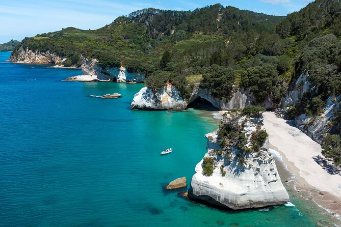 One Hour Cathedral Cove Boat Tour in Hahei - Orua Beach House and Sea Caves: Getting Closer Than You Think